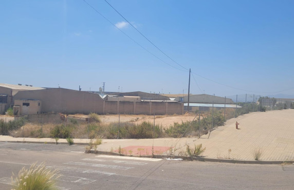 For Sale - urban plot - Crevillent - Comunidad valenciana