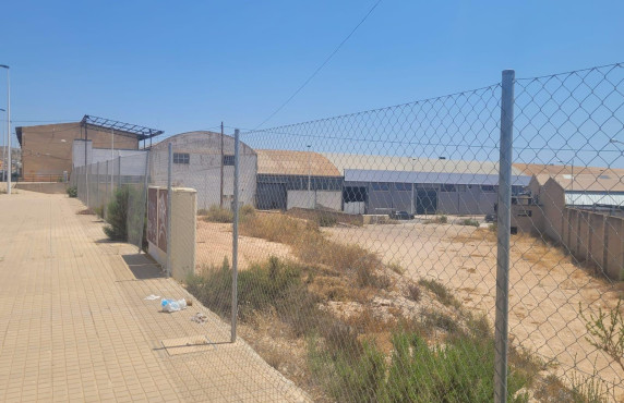 For Sale - urban plot - Crevillent - Comunidad valenciana