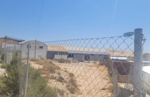 For Sale - urban plot - Crevillent - Comunidad valenciana