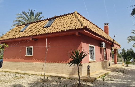 Venta - villa - Elche pedanias - Algoda