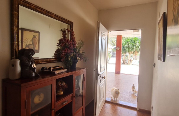Venta - villa - Elche pedanias - Algoda