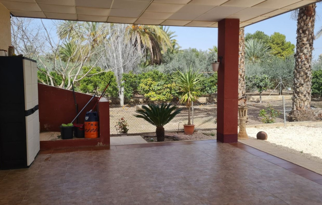 Venta - villa - Elche pedanias - Algoda
