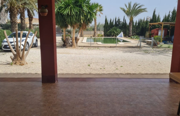 Venta - villa - Elche pedanias - Algoda
