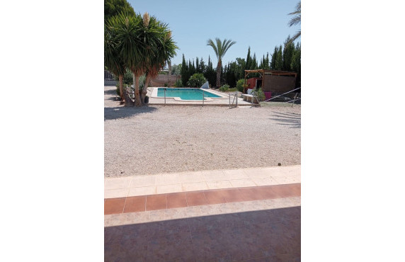 Venta - villa - Elche pedanias - Algoda