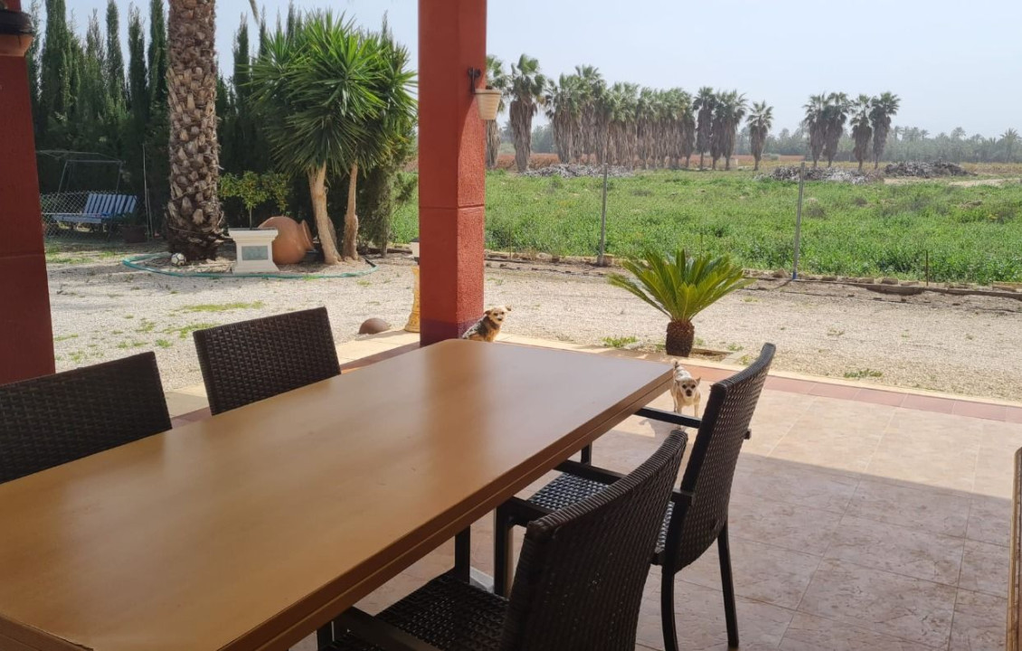 Venta - villa - Elche pedanias - Algoda