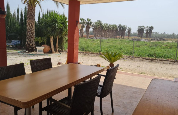 Venta - villa - Elche pedanias - Algoda