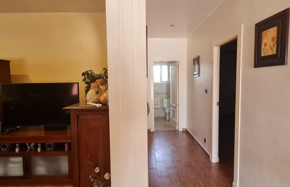 Venta - villa - Elche pedanias - Algoda