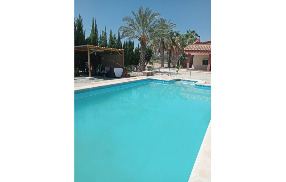 Venta - villa - Elche pedanias - Algoda