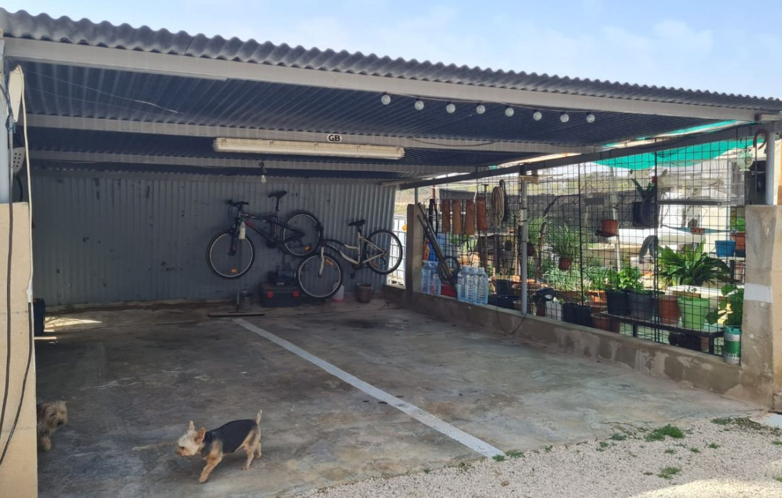 Venta - villa - Elche pedanias - Algoda