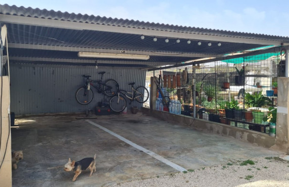 Venta - villa - Elche pedanias - Algoda