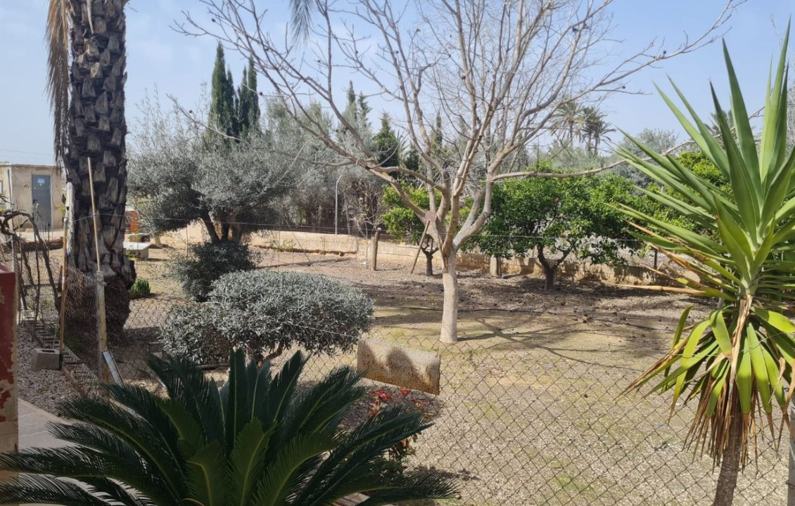 Venta - villa - Elche pedanias - Algoda