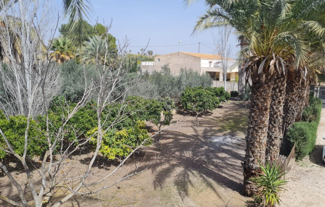 Venta - villa - Elche pedanias - Algoda