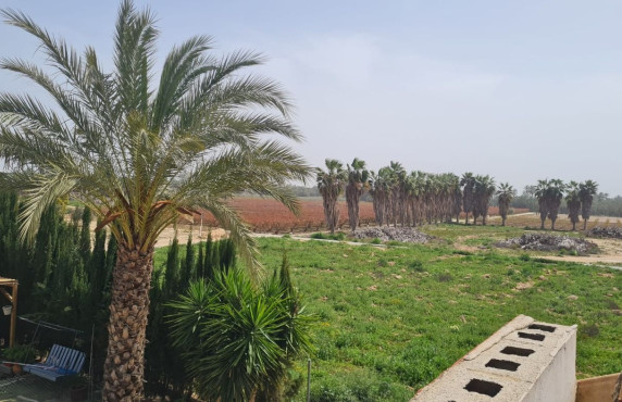 Venta - villa - Elche pedanias - Algoda