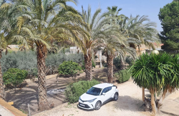 Venta - villa - Elche pedanias - Algoda