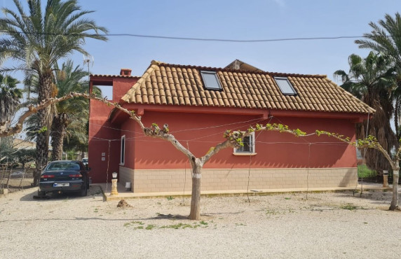 Venta - villa - Elche pedanias - Algoda