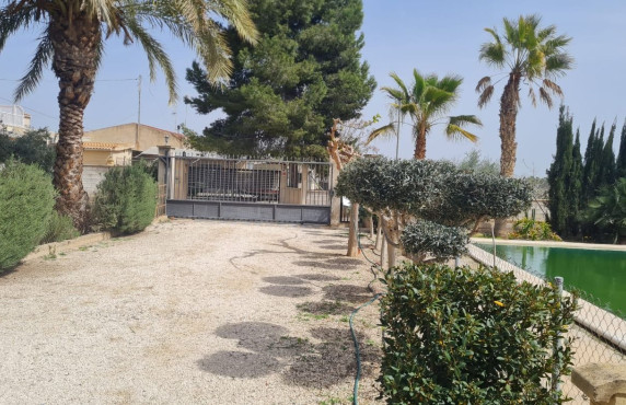 Venta - villa - Elche pedanias - Algoda
