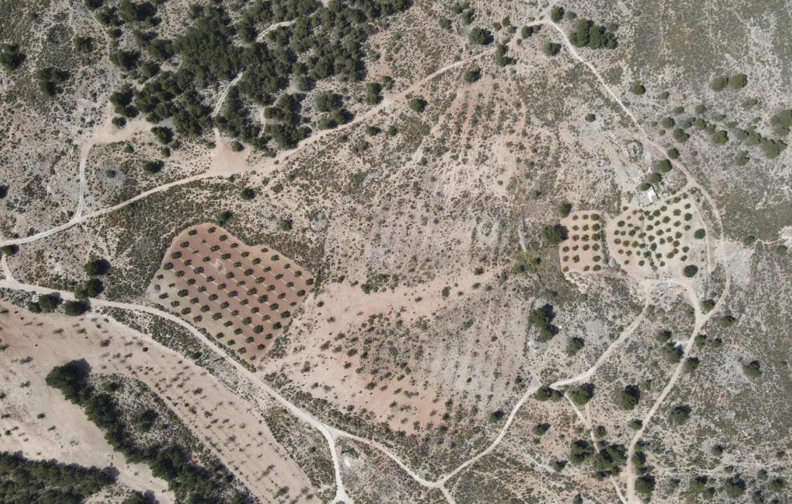 For Sale - Country land - Castalla - Castalla Internacional