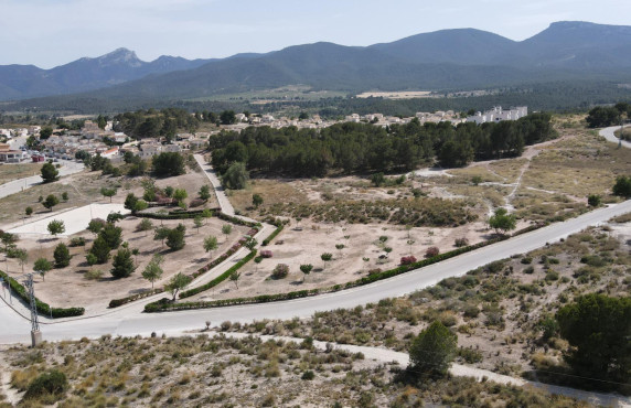 For Sale - Country land - Castalla - Castalla Internacional