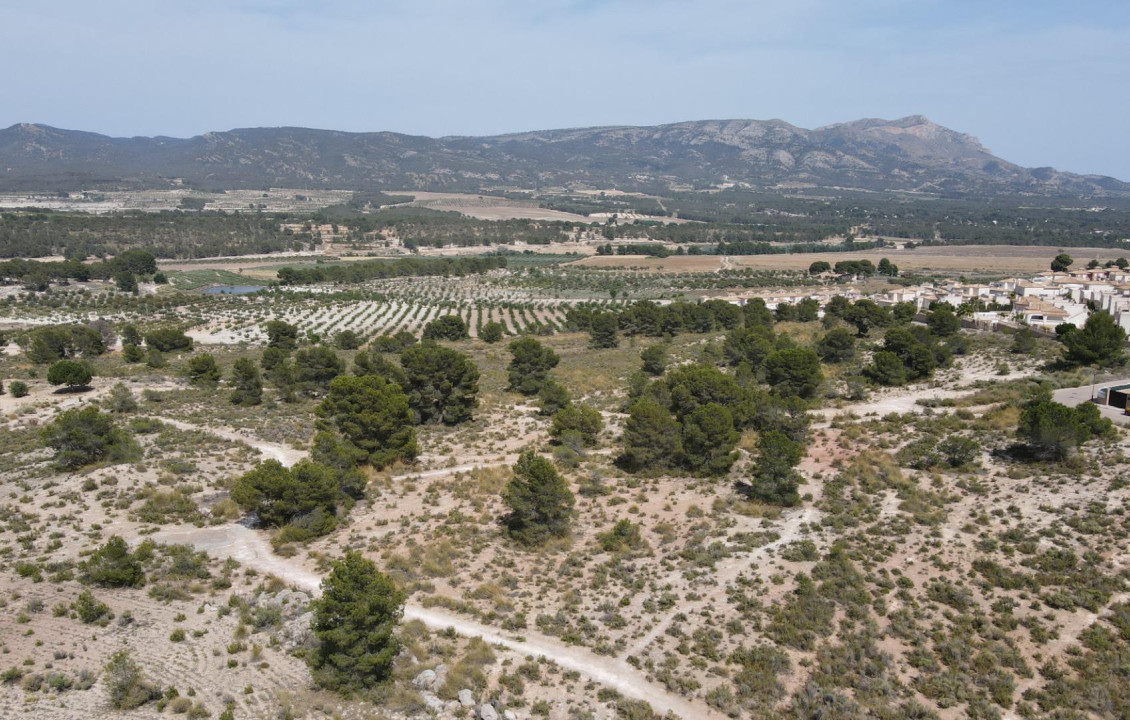 For Sale - Country land - Castalla - Castalla Internacional