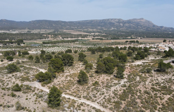 For Sale - Country land - Castalla - Castalla Internacional