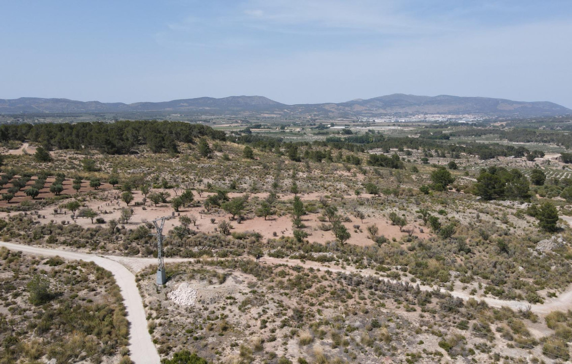 For Sale - Country land - Castalla - Castalla Internacional
