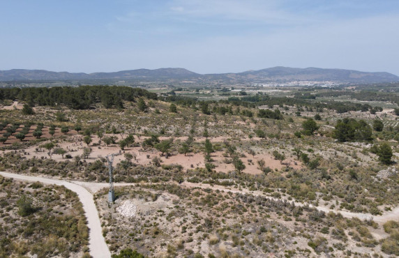 For Sale - Country land - Castalla - Castalla Internacional