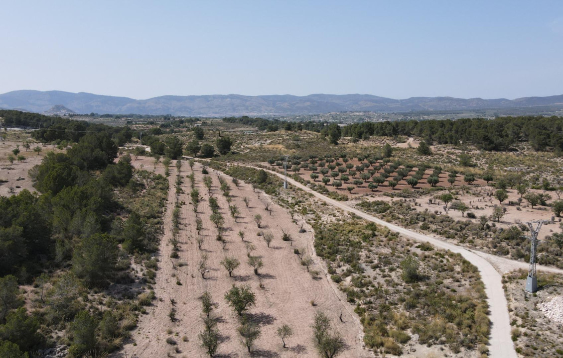 For Sale - Country land - Castalla - Castalla Internacional
