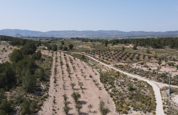 For Sale - Country land - Castalla - Castalla Internacional