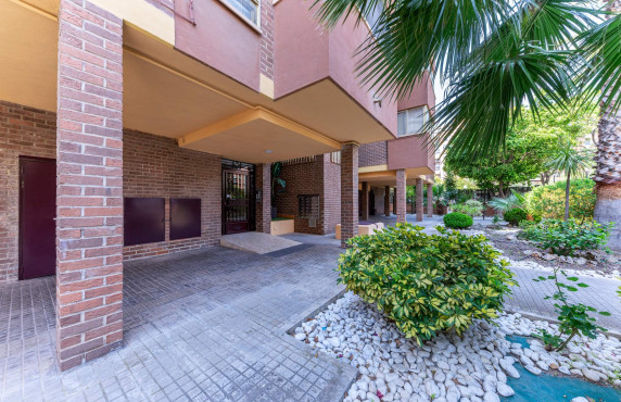 Venta - Piso - Alicante - Babel