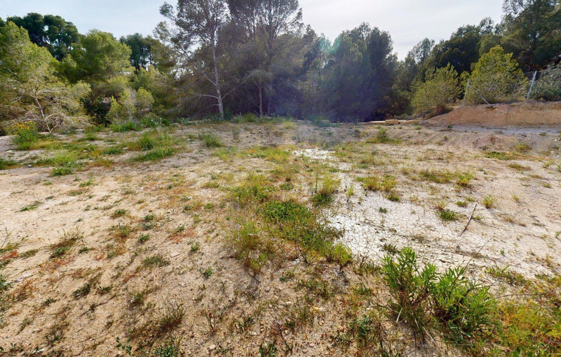 For Sale - urban plot - Alfaz del Pi