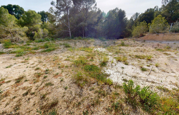 For Sale - urban plot - Alfaz del Pi