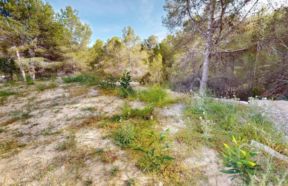 For Sale - urban plot - Alfaz del Pi