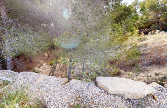 For Sale - urban plot - Alfaz del Pi