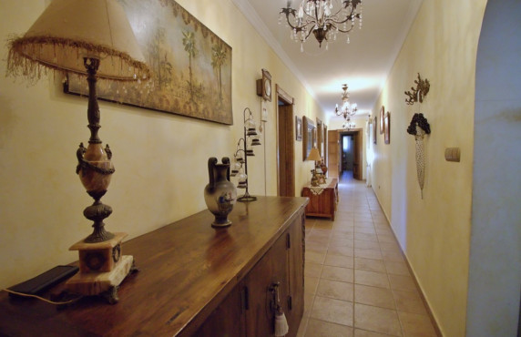 Venta - villa - Elche pedanias - Valverde