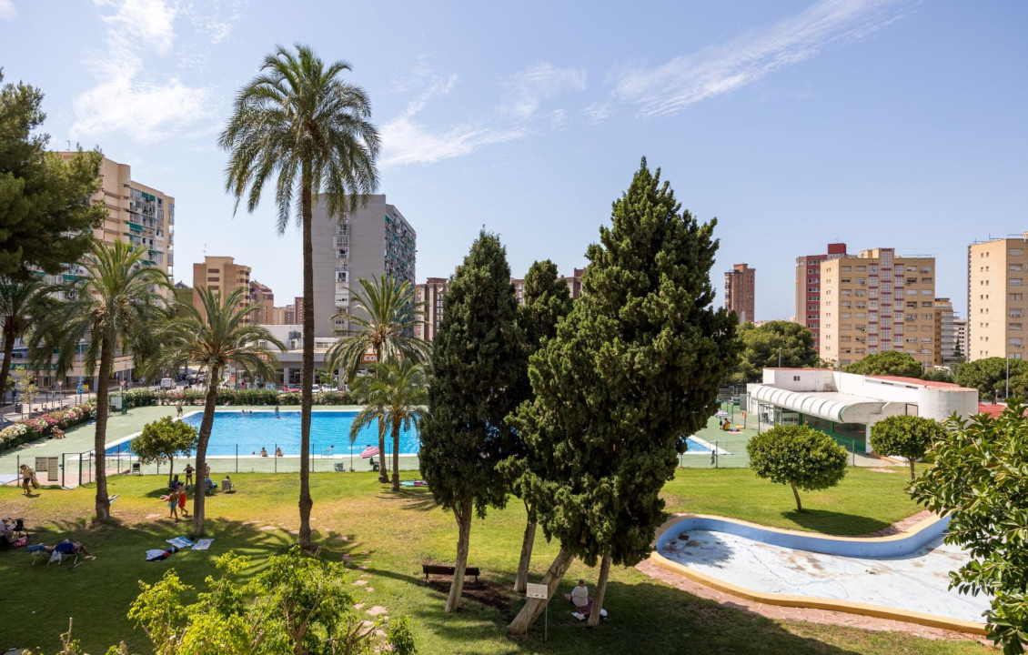 For Sale - Apartment - Benidorm - Juzgados