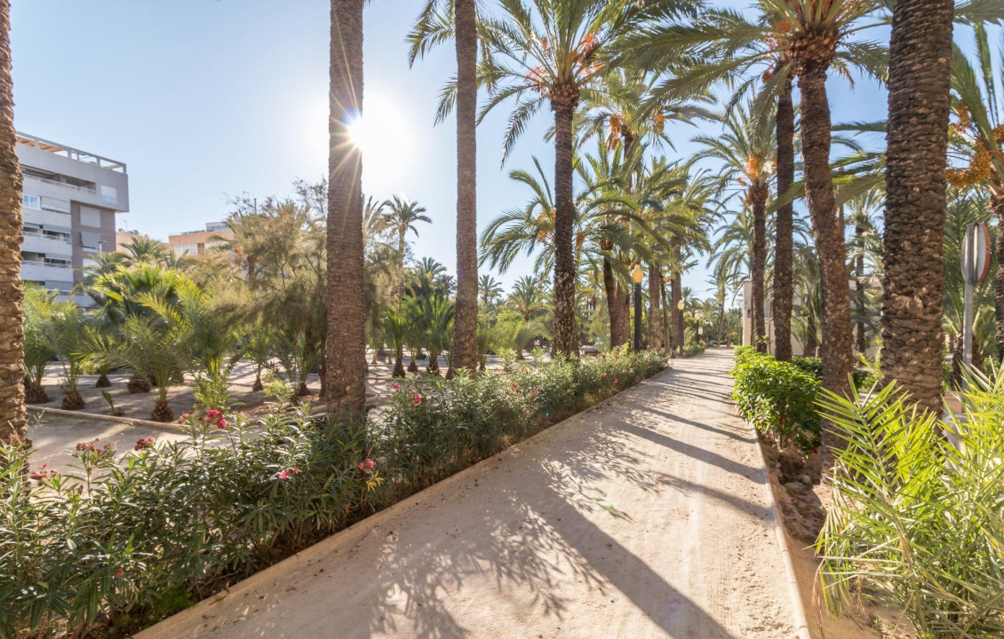 For Sale - Flat - Elche - Altabix