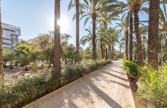 For Sale - Flat - Elche - Altabix