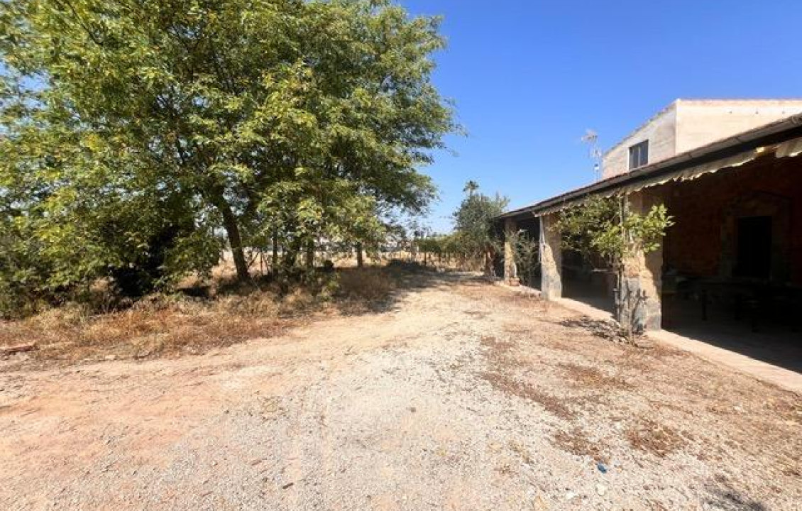 Venta - house - Elche pedanias - Jubalcoy