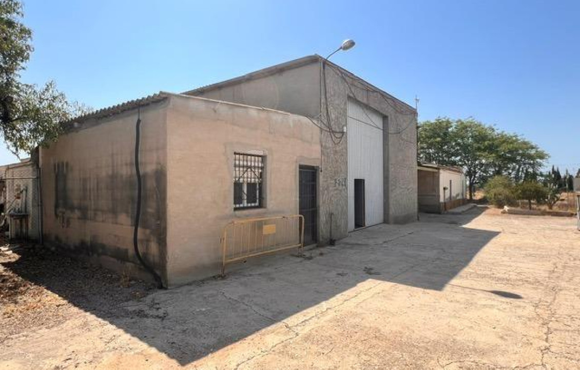 Venta - house - Elche pedanias - Jubalcoy