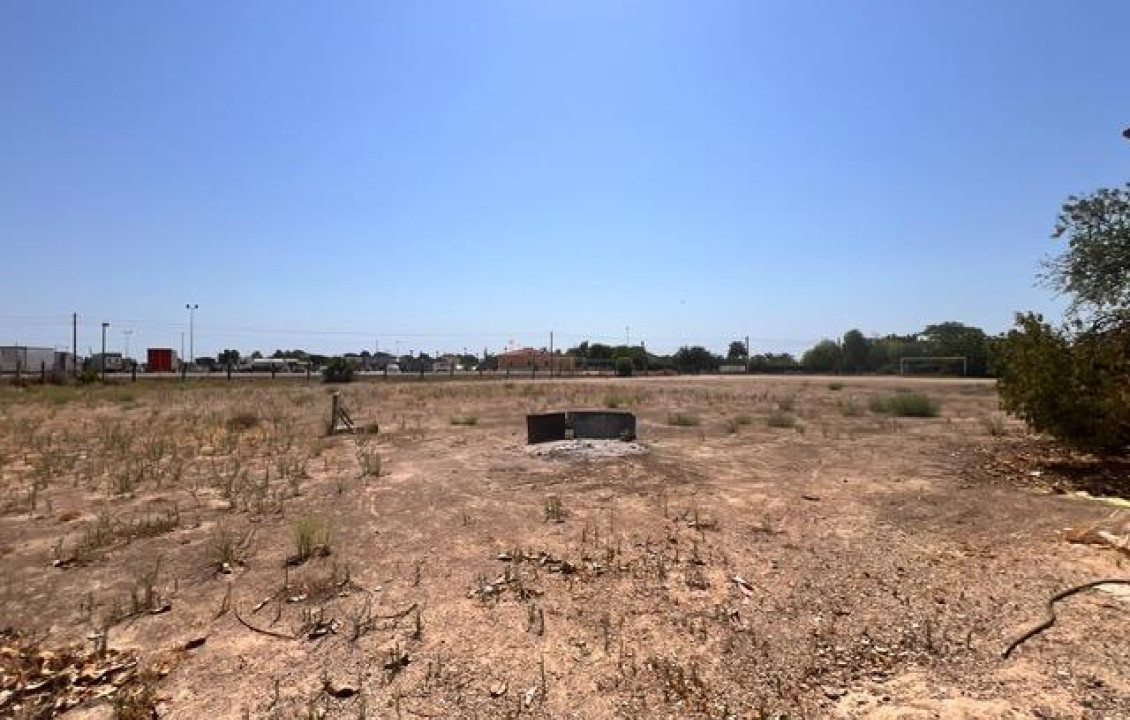 Venta - house - Elche pedanias - Jubalcoy