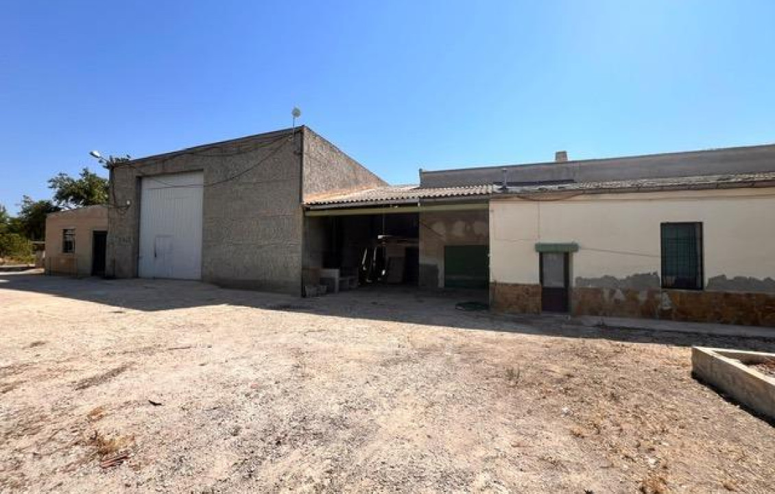 Venta - house - Elche pedanias - Jubalcoy
