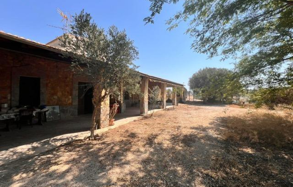 Venta - house - Elche pedanias - Jubalcoy