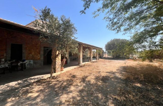Venta - house - Elche pedanias - Jubalcoy