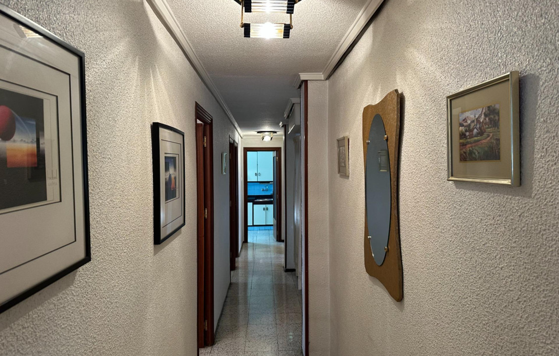 Venta - Apartamento - Elche - Centro