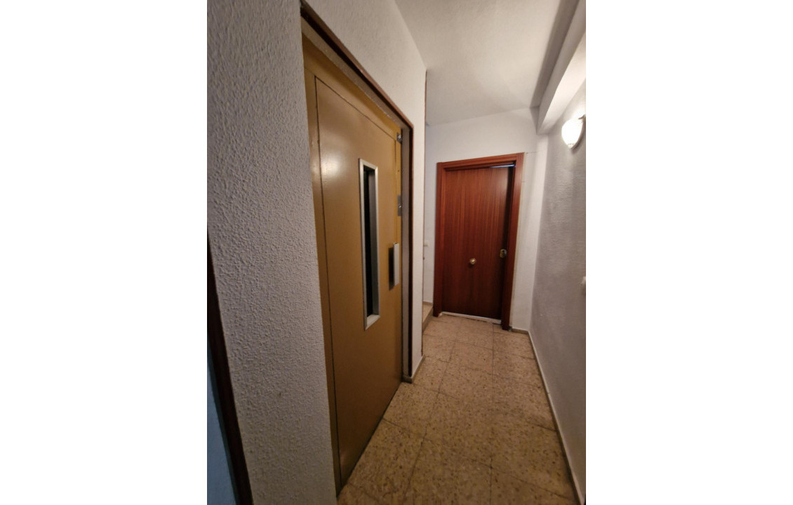 Venta - Piso - Alicante - Altozano