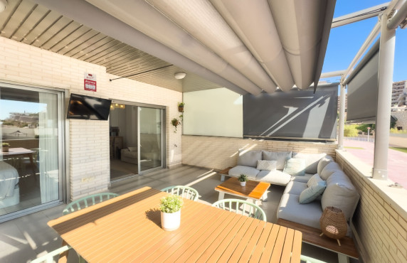 Seasonal Rental - Apartment - Arenales del sol - Arenales del Sol