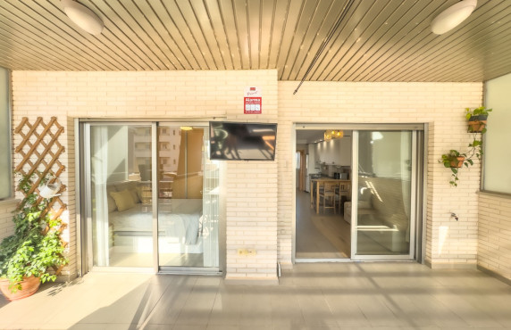 Seasonal Rental - Apartment - Arenales del sol - Arenales del Sol