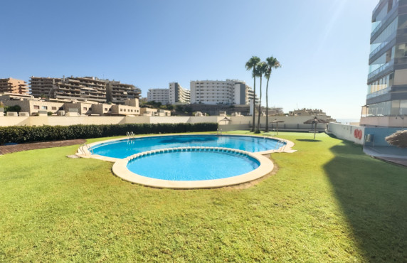 Seasonal Rental - Apartment - Arenales del sol - Arenales del Sol
