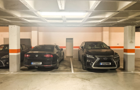 Seasonal Rental - Apartment - Arenales del sol - Arenales del Sol