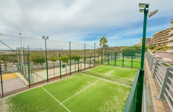 Seasonal Rental - Apartment - Arenales del sol - Arenales del Sol